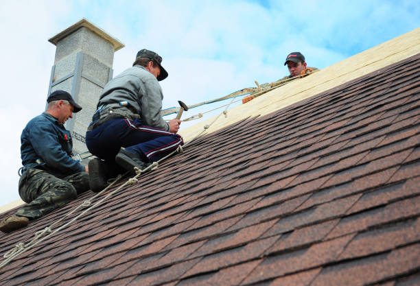 Best Roof Replacement Cost  in Pandora, OH